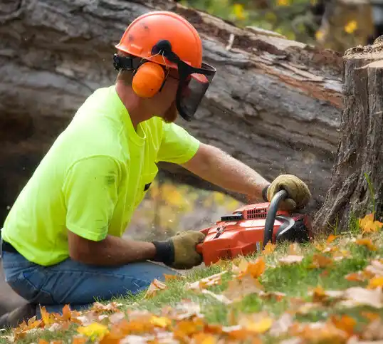 tree services Roaming Shores